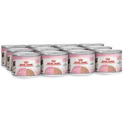 Royal Canin Mother and Babycat Mousse 195g Can x 12 Tray