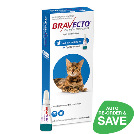 Bravecto Spot-On Medium Cat 2.8-6.25kg