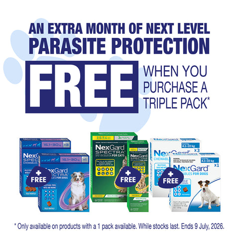 NEXGARD SPECTRA Spot-on Solution for Small Cats & Kittens Under 2.5kg