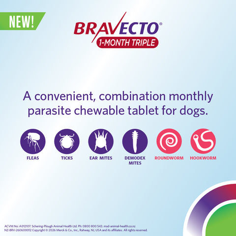 Bravecto 1 Month Triple Chew For Small Dog 5 to 10kg