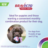 Bravecto 1 Month Triple Chew For Small Dog 5 to 10kg