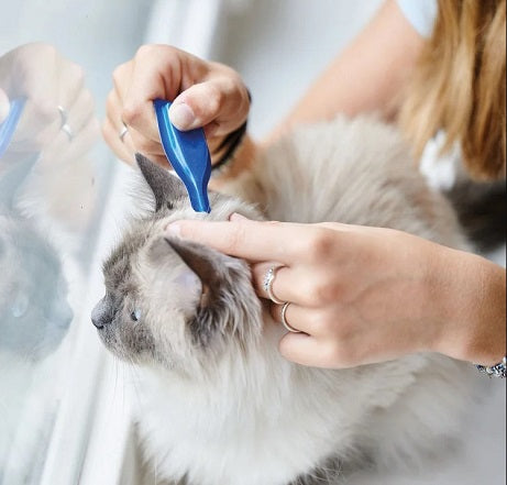 CatComfort Spot on 3 pack For Cats