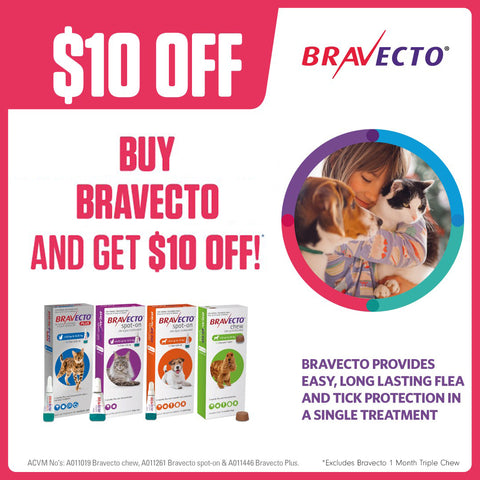 Bravecto Spot-On Small Cat 1.2-2.8kg