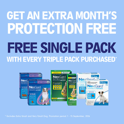 NEXGARD SPECTRA Spot-on Solution for Small Cats & Kittens Under 2.5kg