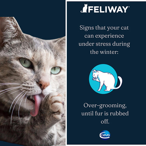 Feliway Diffuser + 48ml