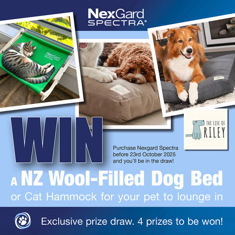 Nexgard Spectra Extra Small 2-3.5kg Dog 3 Chews