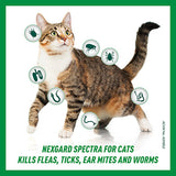 NEXGARD SPECTRA Spot-on Solution for Large Cats