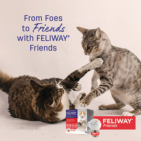 Feliway Friends Diffuser + Refill 48ml