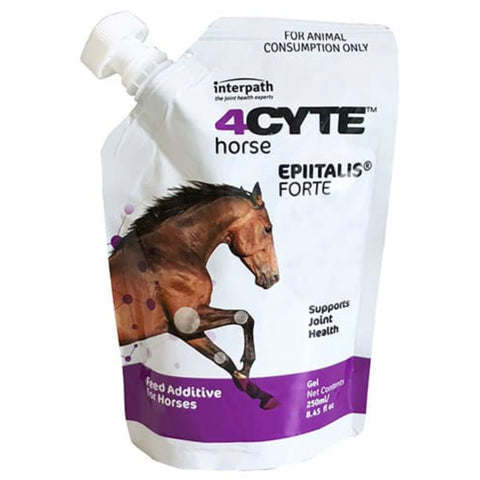 4CYTE Epiitalis Forte - Equine