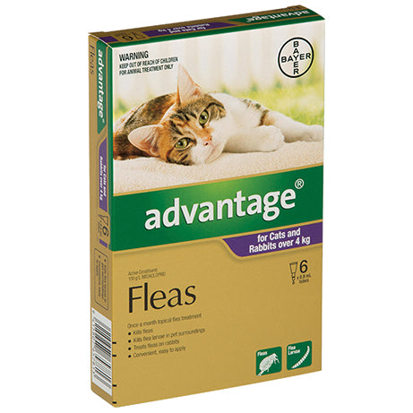 Advantage for Cats over 4Kg Flea & Worm