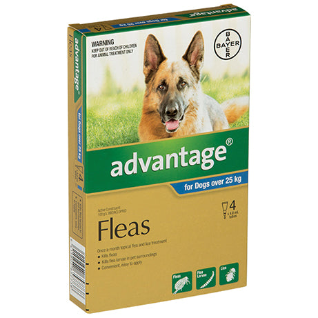 Advantage for Dogs over 25kg Flea & Worm