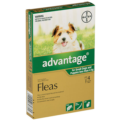 Advantage For Small Dogs and Puppies 4 Pack Flea & Worm