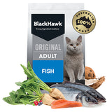 Black Hawk Cat Adult Fish