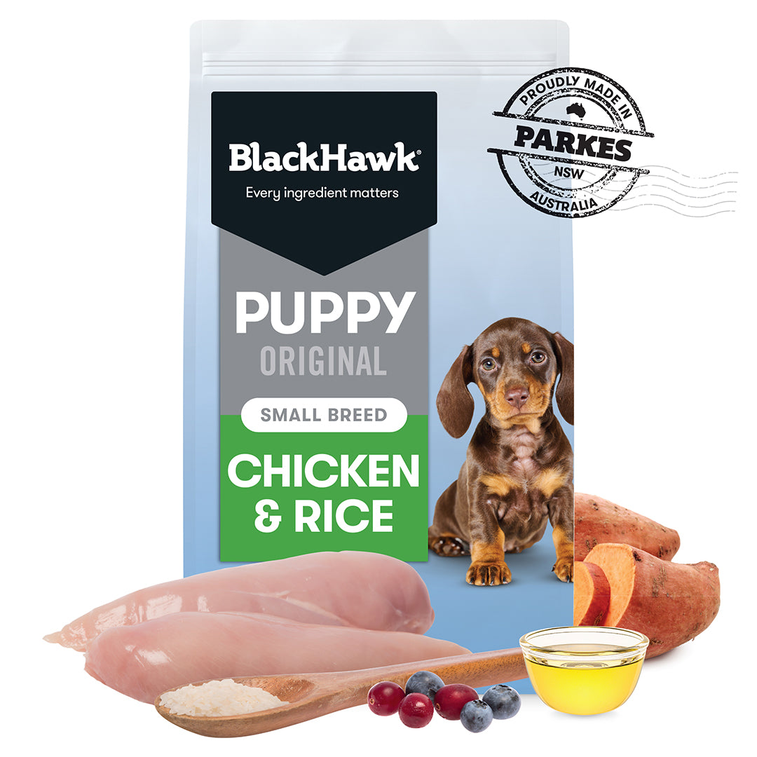 Black best sale hawk puppy