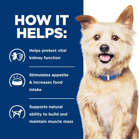 Hill's Prescription Diet k/d Kidney Care Dry Dog Food 3.85kg