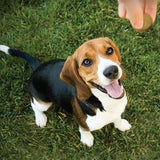 Milpro Dog Wormer Medium - Large breed