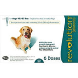 Revolution For Dogs 20-40kg Flea & Worm