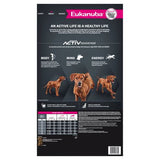 Eukanuba Adult Large Breed Dry Dog Food 15kg