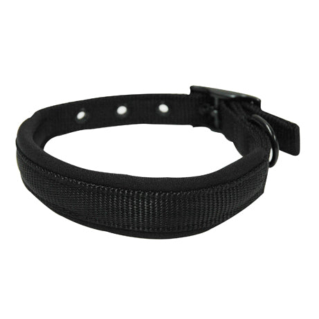 Foam dog hot sale collar