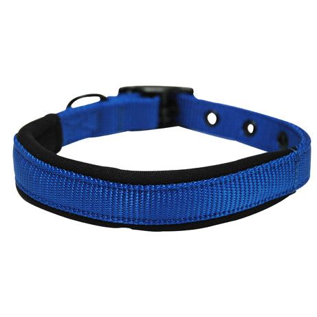 Foam dog hot sale collar