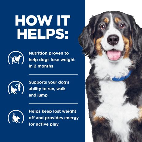 Hill's Prescription Diet Metabolic Weight + j/d Mobility Care Dry Dog