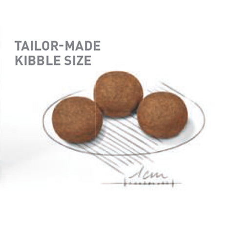 Royal Canin Medium Puppy 16kg