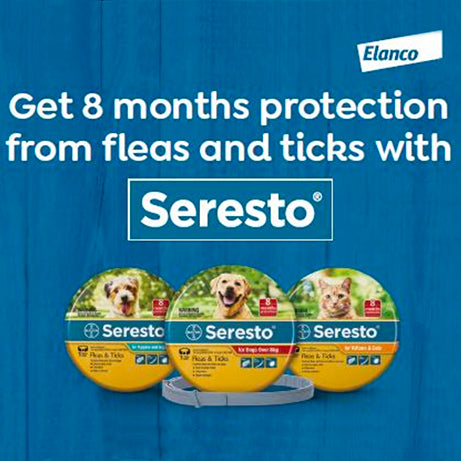 Seresto Flea & Tick Collar for Dogs over 8kg